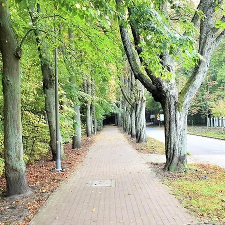 Апартаменты Basesopot