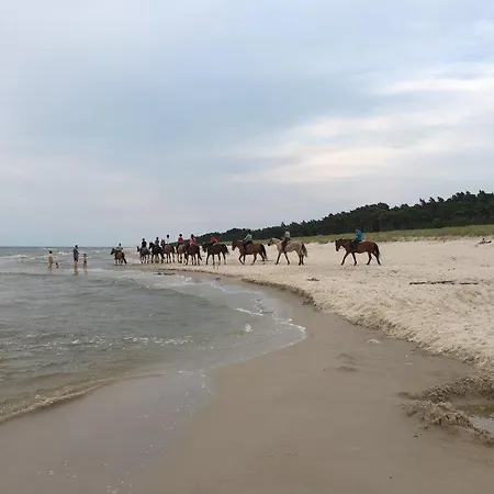 Basesopot Апартаменты Сопот